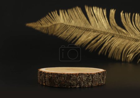 Foto de Eco rustic wood circle disc platform podium and gold leaf on black background. Minimal empty display product presentation scene. - Imagen libre de derechos