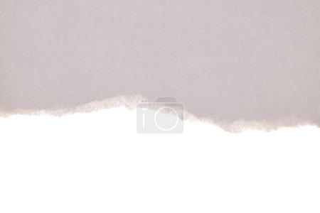 Téléchargez les photos : Torn empty pieces texture gray beige paper isolated on white background. - en image libre de droit