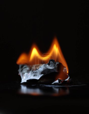 Téléchargez les photos : Burning paper log and fire on black. - en image libre de droit