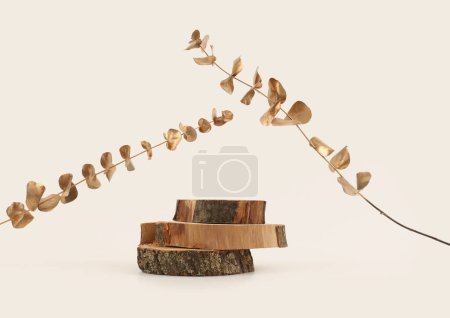 Téléchargez les photos : Wooden eco rustic wood circle disc platform podium and gold leaf twig on beige background. Minimal empty display product presentation scene. - en image libre de droit