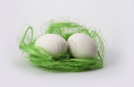 Photo for White easter egg in decorative green nest. - Royalty Free Image