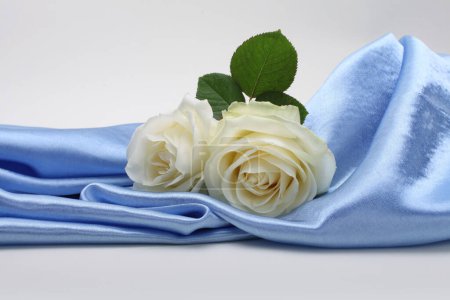 Téléchargez les photos : Nacre blue wave fabric silk with white rose flower bouquet. Abstract texture horizontal copy space background. - en image libre de droit