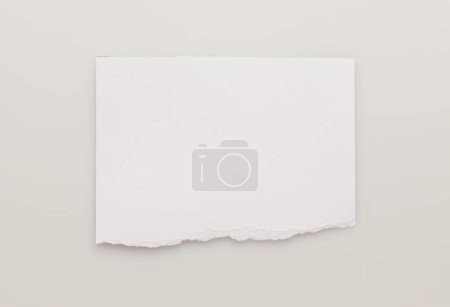 Foto de Torn empty pieces texture paper on white copy space background. - Imagen libre de derechos