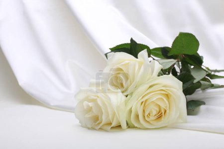 Téléchargez les photos : Nacre wave fabric silk with white rose flower bouquet. Abstract texture horizontal copy space background. - en image libre de droit