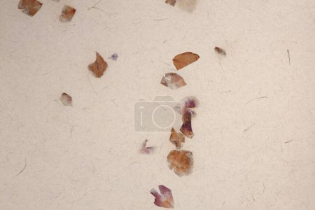 Photo for Scrapbook beige crumpled old craft paper blank with flower petals texture copy space background. - Royalty Free Image