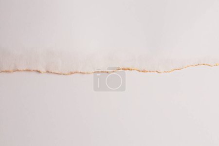 Foto de Torn empty pieces of texture paper with gold line on light beige copy space background. - Imagen libre de derechos