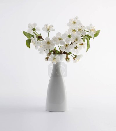 Téléchargez les photos : Floraison branche de fleur dans un vase sur fond clair. Nature morte minimaliste. - en image libre de droit