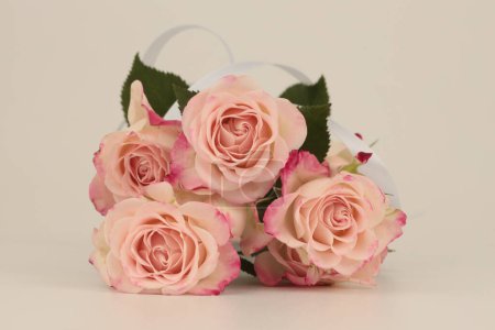 Téléchargez les photos : Bouquet de fleurs de rose avec ruban de soie blanc. Fond d'espace de copie beige clair. - en image libre de droit