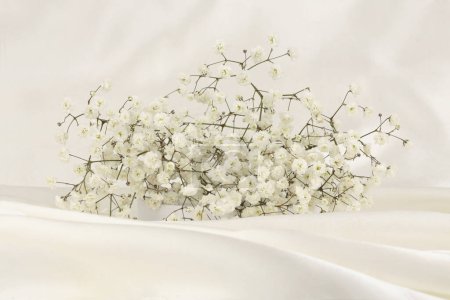Foto de Fumo de enfoque suave Ramo de flores de gypsophila sobre fondo beige de seda blanca. - Imagen libre de derechos