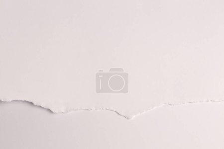 Téléchargez les photos : Torn empty pieces of texture paper light beige copy space background. - en image libre de droit