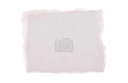 Foto de Torn empty pieces texture paper isolated on white copy space background. - Imagen libre de derechos