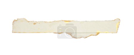 Foto de Desgarrado viejas piezas grunge textura papel de cartón sobre fondo blanco. - Imagen libre de derechos