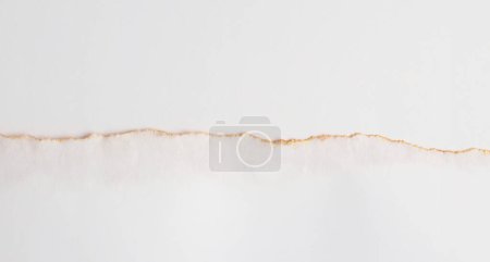 Photo for Torn empty pieces of texture paper with gold line on light beige copy space background. - Royalty Free Image