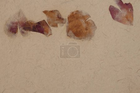 Photo for Scrapbook beige crumpled old craft paper blank with dry flower petals, leaf. Texture copy space background. - Royalty Free Image