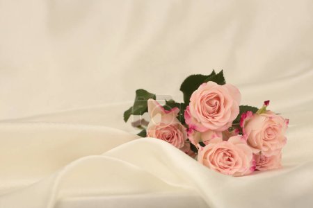 Téléchargez les photos : Bouquet de fleurs rose rose sur fond beige tissu soie. - en image libre de droit
