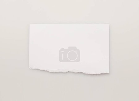 Photo for Torn empty pieces texture paper on light beige copy space background. - Royalty Free Image