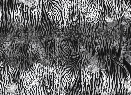 Foto de Abstracto negro y blanco tinta acuarela y acrílico flujo mancha pintura de frotis. Monotipo blot textura fondo. - Imagen libre de derechos