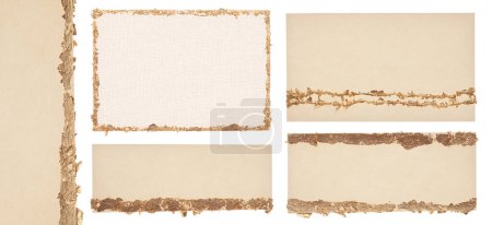 Photo for Beige and  Gold glitter empty torn paper frame isolated on white background. Abstract copy space texture. Set. - Royalty Free Image