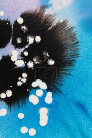 Téléchargez les photos : Encre noire et blanche tache de flux aquarelle sur fond de papier texture bleue. - en image libre de droit