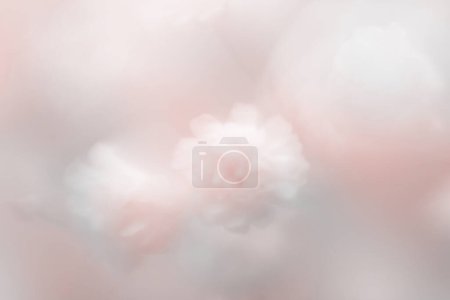 Photo for Soft focus blur white gypsophila flower. Fog smoke nature beige pink background. - Royalty Free Image