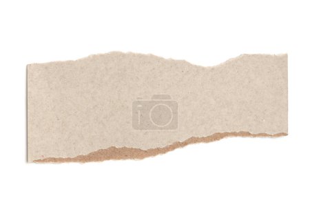 Photo for Empty old torn grunge pieces texture cardboard paper on white background. - Royalty Free Image
