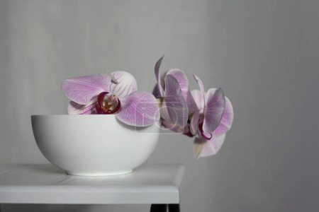 Photo for Pink phalaenopsis orchid flower in bowl on gray. Selective soft focus. Minimalist art still life. Light and shadow background. - Royalty Free Image