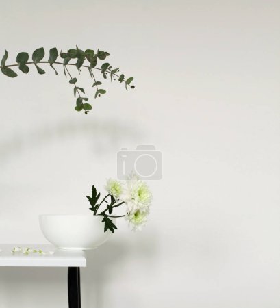 Foto de Los crisantemos blancos florecen con hoja de eucalipto y pared interior. Bodegón minimalista. Luz y sombra naturaleza horizontal copia espacio fondo. - Imagen libre de derechos