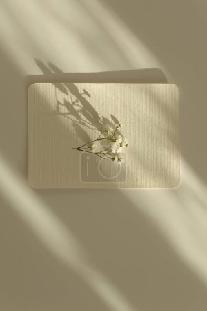 Foto de Flor, vacío Tarjeta de papel de lienzo de textura en blanco para su mensaje de texto. Plantilla de estilo minimalismo de luz y sombras fondo beige. - Imagen libre de derechos