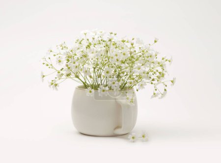 Téléchargez les photos : Bouquet de fleurs blanches dans un vase à tasse. Nature morte minimaliste. Lumière et ombre beige nature fond. - en image libre de droit