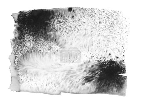 Téléchargez les photos : Tgrunge noir exture encre aquarelle goutte blot sur fond de papier blanc. - en image libre de droit