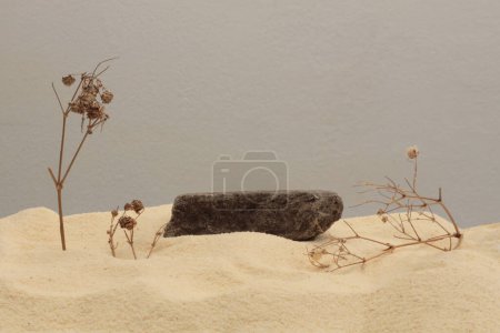 Téléchargez les photos : Branche rameau sec sur fond plate-forme de sable beige podium. Scène de présentation minimale du produit d'affichage vide. - en image libre de droit