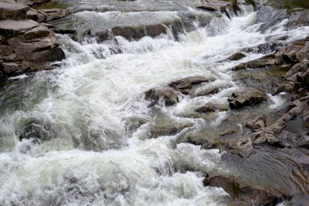 Téléchargez les photos : Un ruisseau d'eau qui fait rage dans une rivière de montagne. Rivages rocheux gros plan. - en image libre de droit