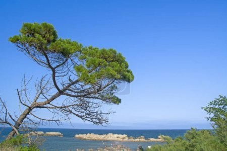 Téléchargez les photos : Plage de Sant Marti d'Empuries (L'Escala) sur la Costa Brava, Golfe de Roses, Catalogne, Espagne en haute saison estivale - en image libre de droit