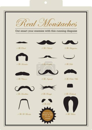 Illustration for A fun illustrated guide to the different types of moustache including the names - Royalty Free Image
