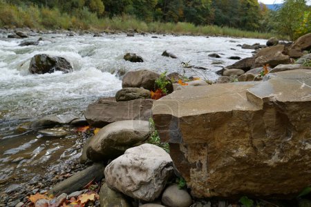 Téléchargez les photos : Pierres près de la rive de la rivière dans les Carpates, ouest de l'Ukraine - en image libre de droit