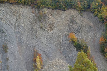 Foto de Geological mountain folds in Yaremche, Ukraine, known as Yaremche folds - biggest outcrop of Stryi formation in Europe. Here rocks of this formation are folded and faulted,gothic or chevron types - Imagen libre de derechos