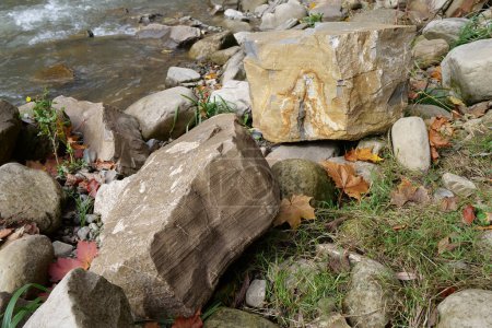 Téléchargez les photos : Natural stones near bank of river, Carpathian Mountains, western Ukraine - en image libre de droit