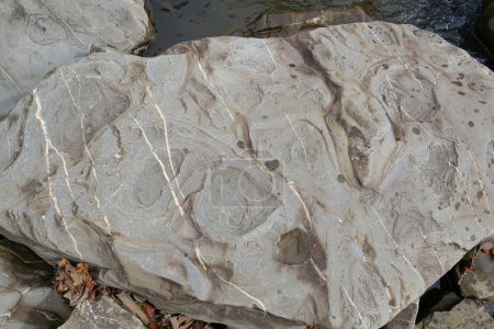 Téléchargez les photos : Natural stone near bank of river in Carpathian Mountains, western Ukraine - en image libre de droit