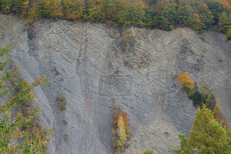 Foto de Mountain geological folds in Yaremche city, Ukraine, known as Yaremche folds - biggest outcrop of Stryi formation in Europe. Here rocks of this formation are folded and faulted,gothic or chevron types - Imagen libre de derechos