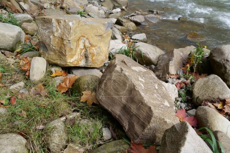 Téléchargez les photos : Natural stones near bank of river in Carpathian Mountains, western Ukraine - en image libre de droit