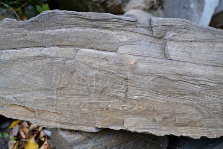 Téléchargez les photos : Natural striped stone lies near bank of river in Carpathian Mountains in western Ukraine - en image libre de droit