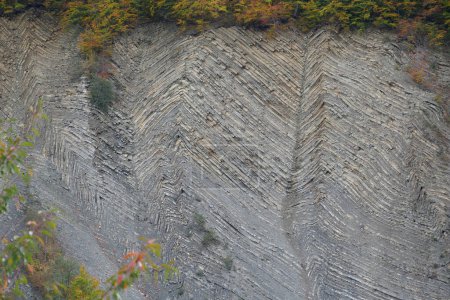 Foto de Geological mountain folds in Yaremche city, Ukraine, known as Yaremche folds - biggest outcrop of Stryi formation in Europe. Here rocks of this formation are folded and faulted,gothic or chevron types - Imagen libre de derechos