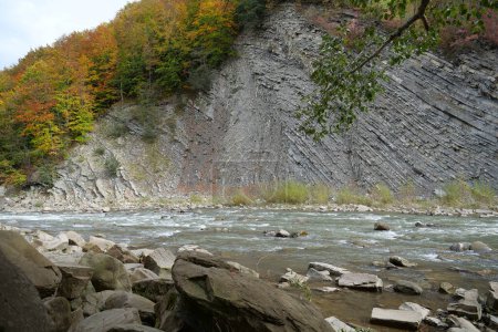Foto de Prut río y pliegues de montaña en Yaremche, Ucrania, conocido como pliegues Yaremche - mayor afloramiento de la formación Stryi en Europa. Aquí las rocas de esta formación son plegadas y defectuosas, de tipo gótico o chevron - Imagen libre de derechos