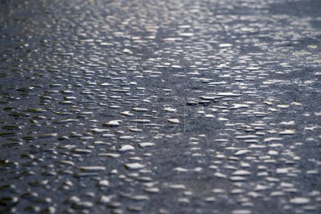 Téléchargez les photos : Drops of water lies on new asphalt road - en image libre de droit