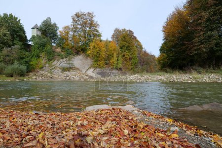 Photo for Autumn leaves drift in the Prut river, western Ukraine - Royalty Free Image