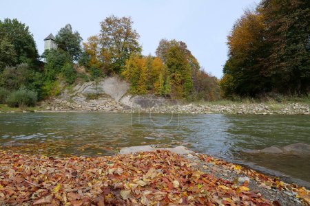 Téléchargez les photos : Feuilles d'automne dérive dans la rivière - en image libre de droit