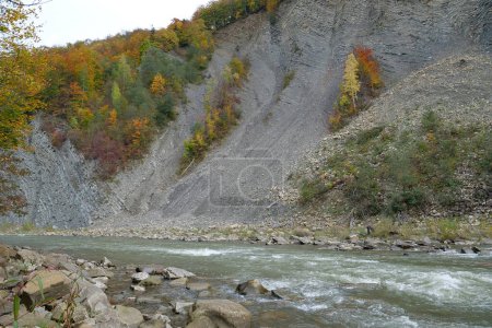 Foto de Prut río y pliegues de montaña en Yaremche, Ucrania, conocido como pliegues Yaremche - mayor afloramiento de la formación Stryi en Europa. Aquí las rocas de esta formación son plegadas y defectuosas, de tipo gótico o chevron - Imagen libre de derechos