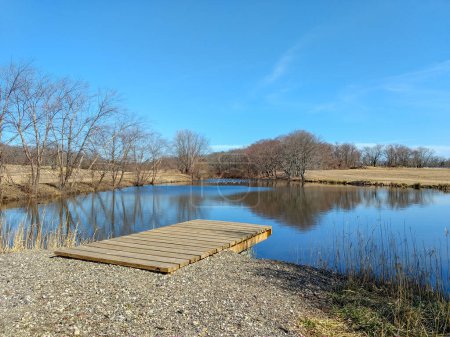 Foto de Muelle de madera en un pequeño estanque con patos y gansos en el lago en un día soleado con un cielo azul. Hay árboles rodeando el estanque.. - Imagen libre de derechos