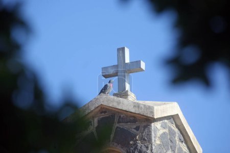 Téléchargez les photos : Croix et colombe, Église du Prieuré de Saint-Pierre, Mer de Galilée, Tabgha, Israël - en image libre de droit