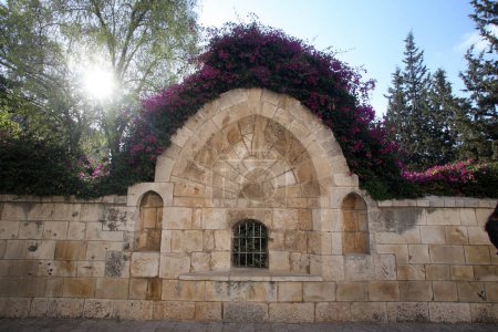 Foto de Jardines fuera de la iglesia de Santa Ana, Iglesia Cruzada del siglo XII, Betesda, Jerusalén, Israel - Imagen libre de derechos